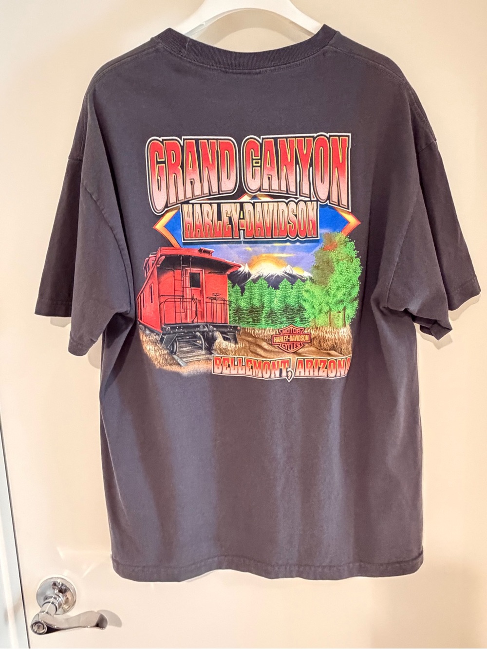Harley-Davidson Black Short Sleeve Tee with Faded Gold Shield - Picture 3 of 10